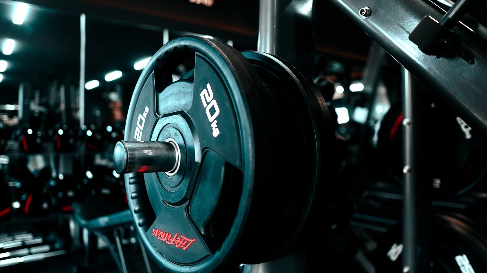 バーベル 20kg プレート